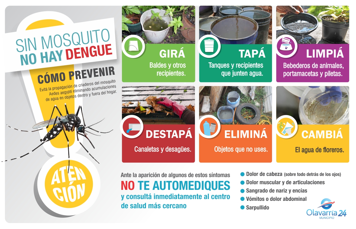 Questo è l'Inizio della Fine - Pagina 3 CAMPA%C3%91A-PREVENCI%C3%93N-DENGUE